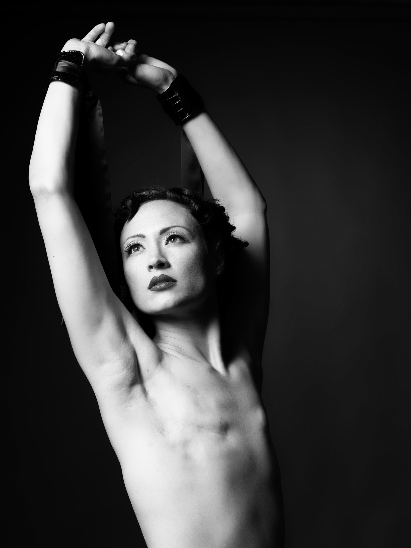 From: "The SCAR proyect" by David Jay 